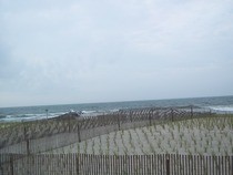 Beach Photography