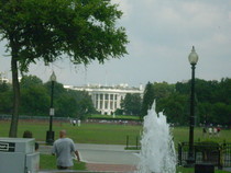 Washington D.C. Photography
