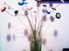 Small_p150412_15.53