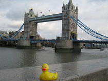 Rubber Ducks