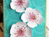 Small_dsc_0136