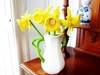 Knitted Daffodils