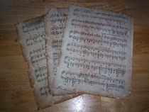 Parchment Paper