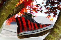 Shoe Flower 
