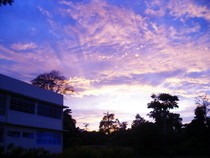 A Sky Of Colors