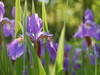 Small_dsc_0389