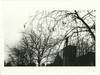 Small_scan0255