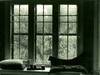 Small_scan0253