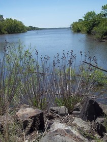 Lake Galena Photo
