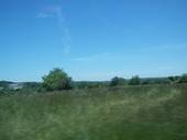 Green Scenery Photography