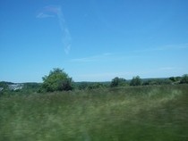 Green Scenery Photography