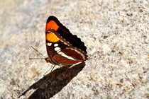 My Photography 