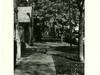 Small_scan0251