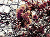 Small_p1010198-1