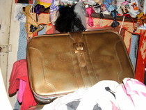 My Lovely Golden Suitcase