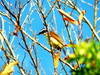Small_img_2415