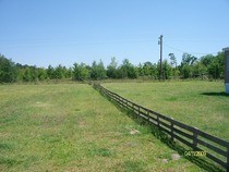 Wood Pallet Fence