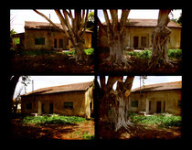 Abandoned House