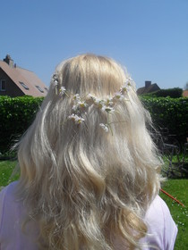 Daisy Chain