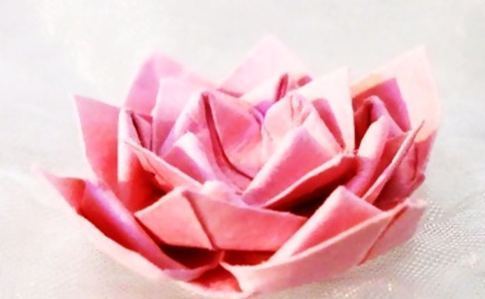 Lotus Origami