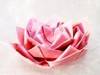 Small_lotus
