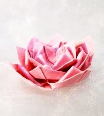 Lotus Origami
