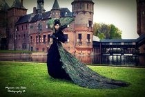 Peacock Queen