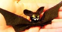 Cute Bat In Your Hair
