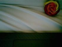 Fimo Rainbow Rose 