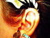Small_cimg4479