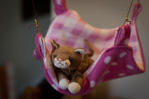 Rat Hammock