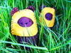 Small_ewoks
