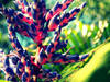 Small_df