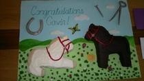 Farrier Congratulations Cake!