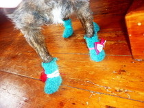 Dog Booties