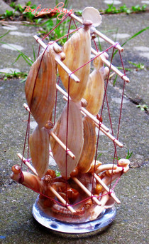 Boat With 11 Shells