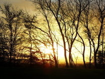 Document Your Life With Photography