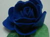 Small_rose_3