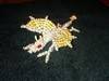 Small_imag0085