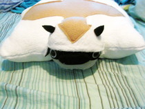 Appa Pillow Pet