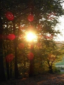 Photographs From My Home Town