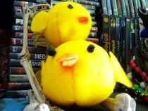 Gilbird