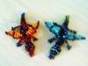 Small_cimg0094