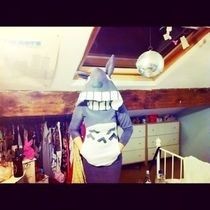 Totoro Costume/Hoodie