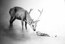 The Stag And The Otter