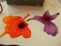 Hummingbird & Flower Patches