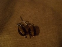 Grooved Bead Earrings