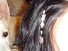 Small_dsc00780
