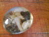 Small_dsc02969