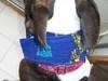 Small_103_2343